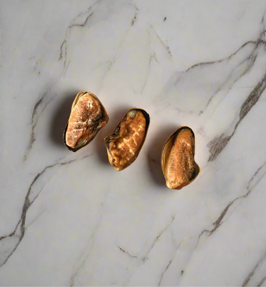 Mussel up, pups!