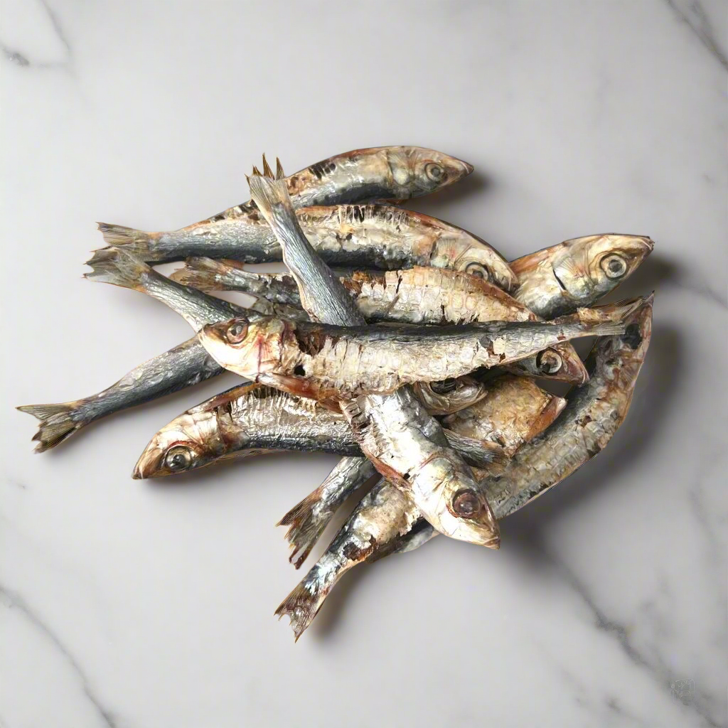 Sardine Splash