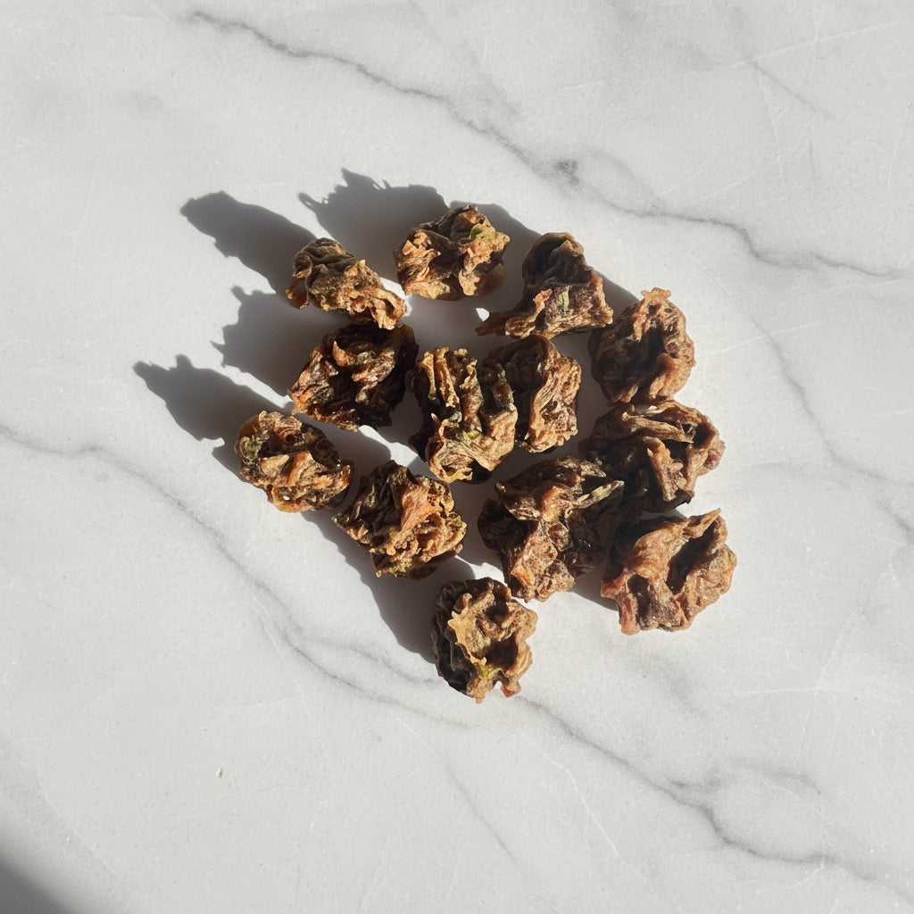 Pup-corn Bites: Spring Garden