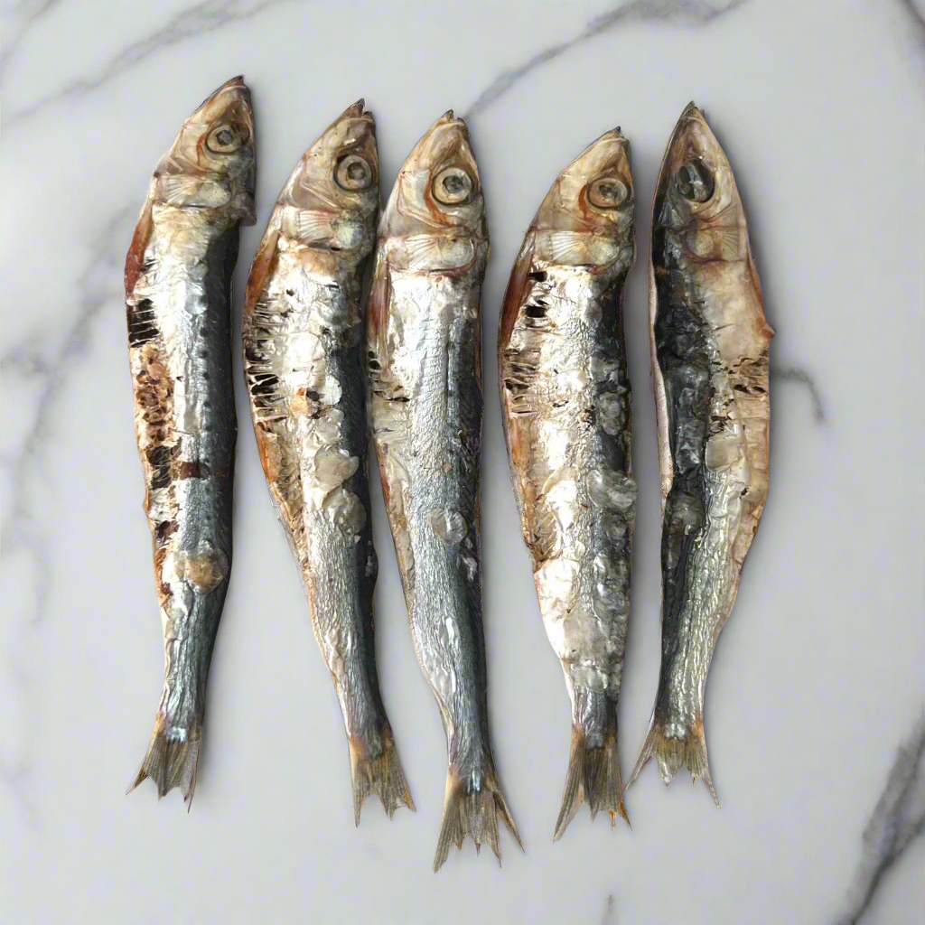 Sardine Splash